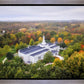 Palmyra and Sacred Grove Aerial