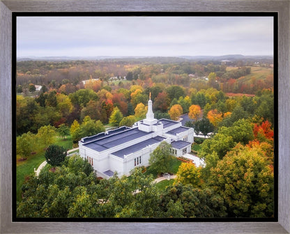 Palmyra and Sacred Grove Aerial