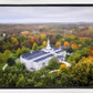 Palmyra and Sacred Grove Aerial