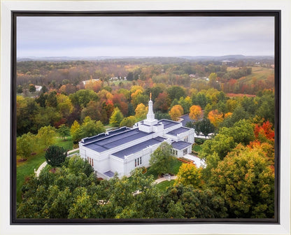 Palmyra and Sacred Grove Aerial