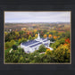 Palmyra and Sacred Grove Aerial