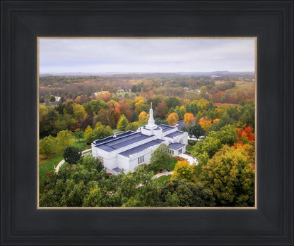 Palmyra and Sacred Grove Aerial