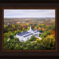 Palmyra and Sacred Grove Aerial