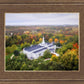 Palmyra and Sacred Grove Aerial