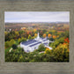 Palmyra and Sacred Grove Aerial