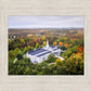 Palmyra and Sacred Grove Aerial