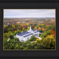Palmyra and Sacred Grove Aerial