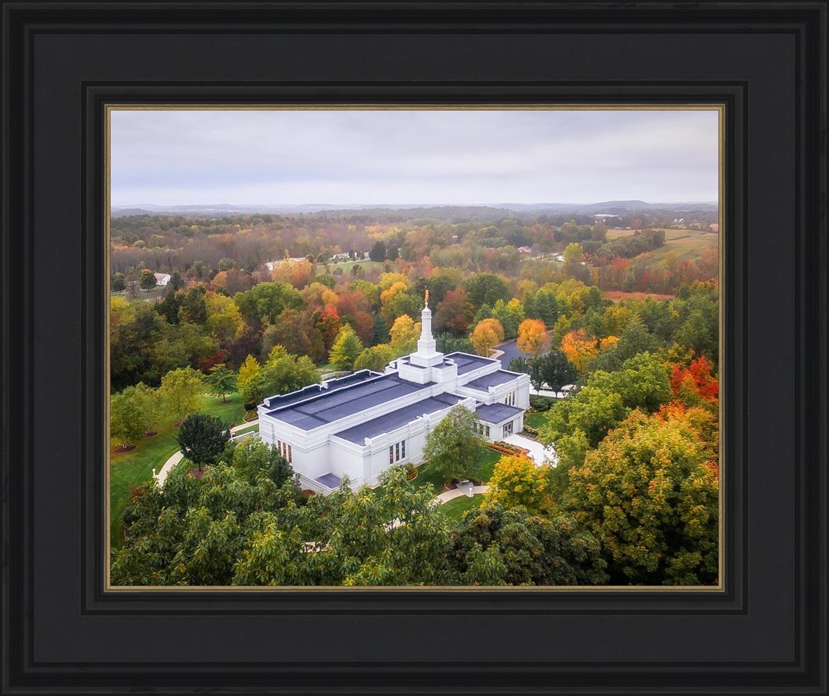 Palmyra and Sacred Grove Aerial