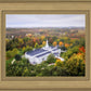 Palmyra and Sacred Grove Aerial