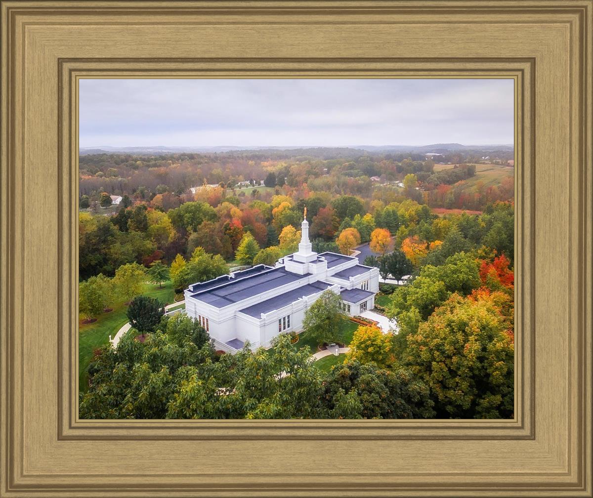 Palmyra and Sacred Grove Aerial