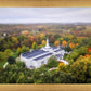 Palmyra and Sacred Grove Aerial