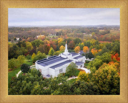 Palmyra and Sacred Grove Aerial