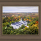 Palmyra and Sacred Grove Aerial