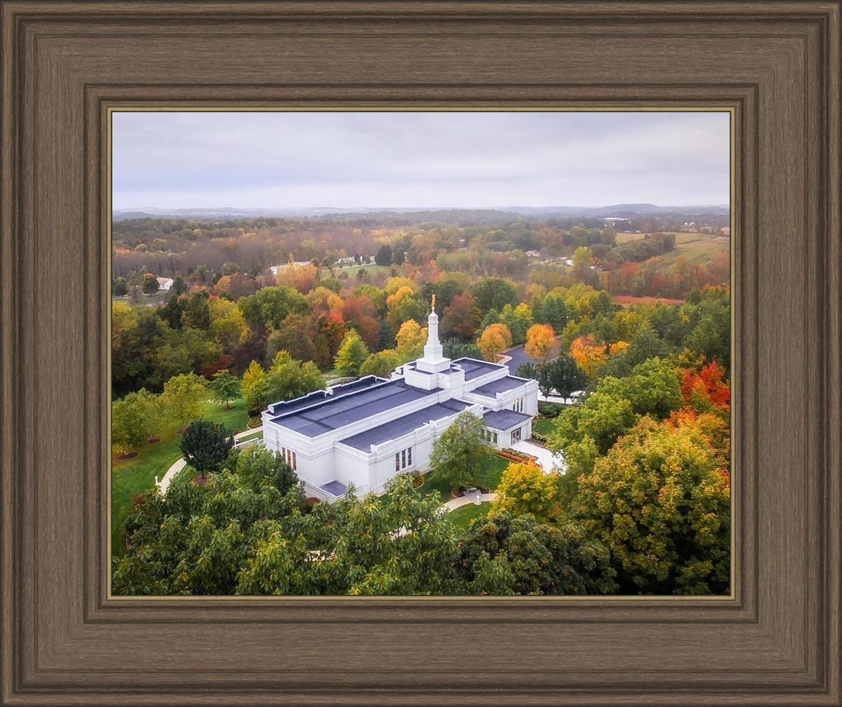Palmyra and Sacred Grove Aerial