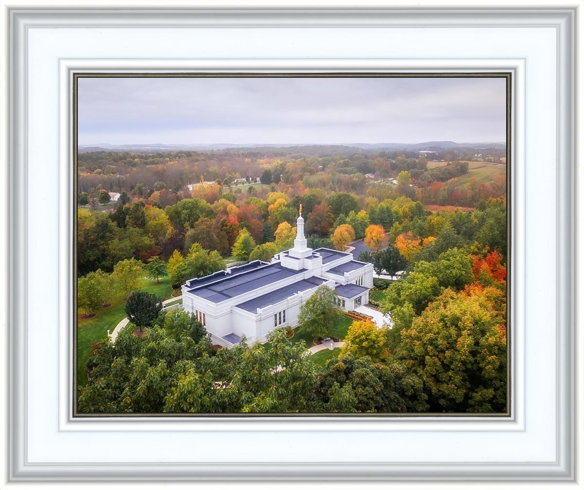 Palmyra and Sacred Grove Aerial