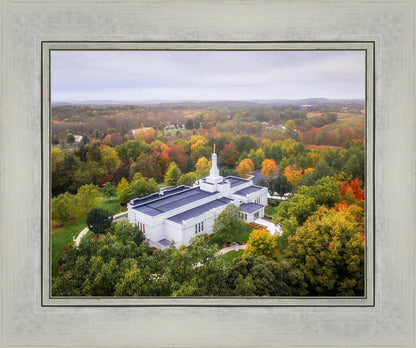 Palmyra and Sacred Grove Aerial