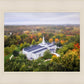 Palmyra and Sacred Grove Aerial