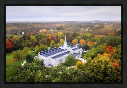 Palmyra and Sacred Grove Aerial