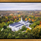 Palmyra and Sacred Grove Aerial