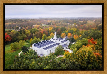 Palmyra and Sacred Grove Aerial