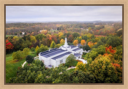 Palmyra and Sacred Grove Aerial