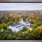 Palmyra and Sacred Grove Aerial