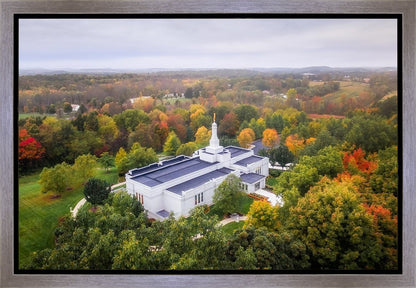 Palmyra and Sacred Grove Aerial