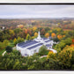 Palmyra and Sacred Grove Aerial