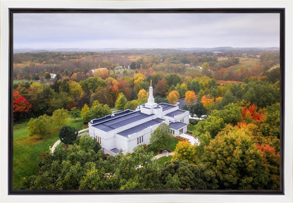 Palmyra and Sacred Grove Aerial