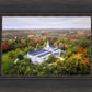 Palmyra and Sacred Grove Aerial