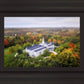 Palmyra and Sacred Grove Aerial