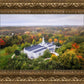 Palmyra and Sacred Grove Aerial