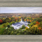 Palmyra and Sacred Grove Aerial