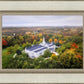 Palmyra and Sacred Grove Aerial