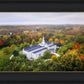 Palmyra and Sacred Grove Aerial