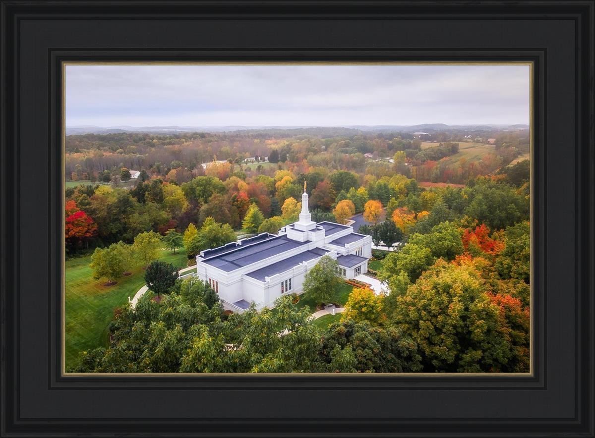 Palmyra and Sacred Grove Aerial