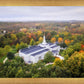 Palmyra and Sacred Grove Aerial
