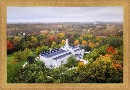 Palmyra and Sacred Grove Aerial