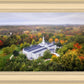 Palmyra and Sacred Grove Aerial