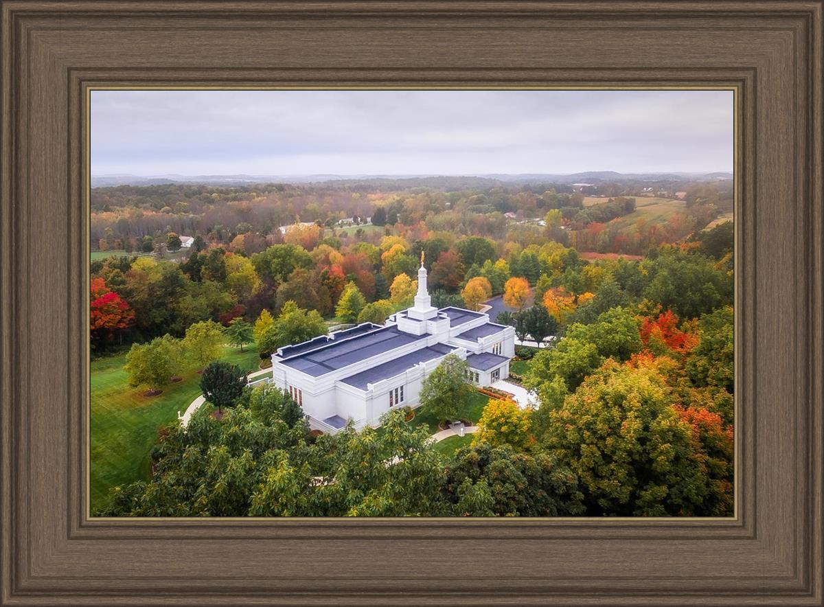 Palmyra and Sacred Grove Aerial