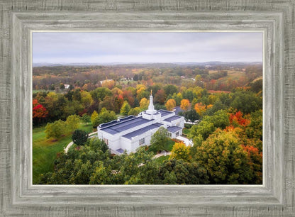 Palmyra and Sacred Grove Aerial