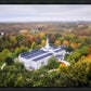 Palmyra and Sacred Grove Aerial