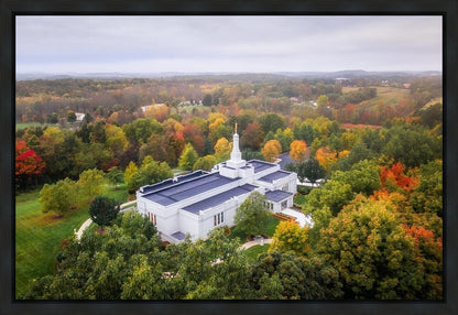 Palmyra and Sacred Grove Aerial