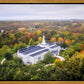 Palmyra and Sacred Grove Aerial