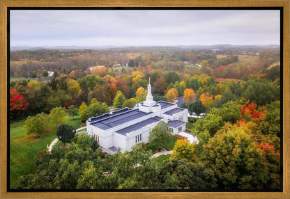 Palmyra and Sacred Grove Aerial