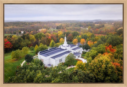 Palmyra and Sacred Grove Aerial