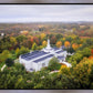 Palmyra and Sacred Grove Aerial