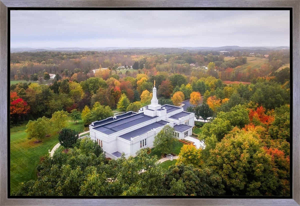 Palmyra and Sacred Grove Aerial