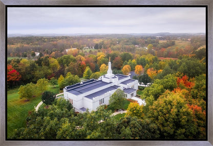 Palmyra and Sacred Grove Aerial