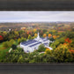Palmyra and Sacred Grove Aerial